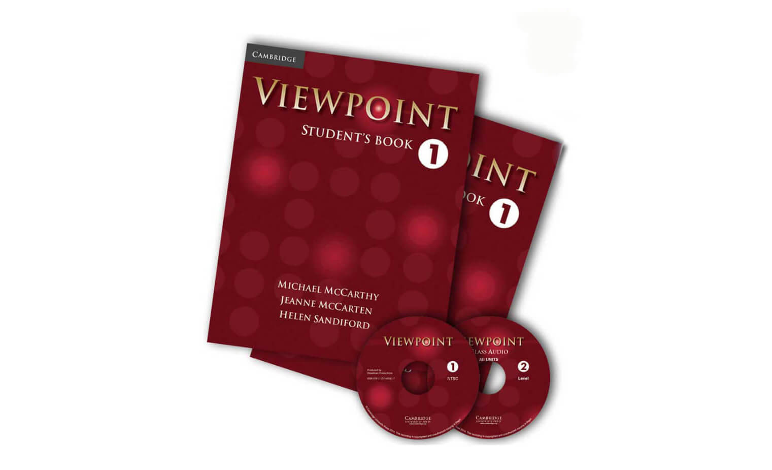 Viewpoint 1